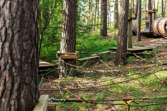 Participants navigate a ropes course featuring wooden platforms and climbing elements, surrounded by lush greenery and tall trees. This activity offers an adventurous outdoor experience in nature