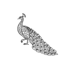 Elegant Black and White Peacock Illustration 1.