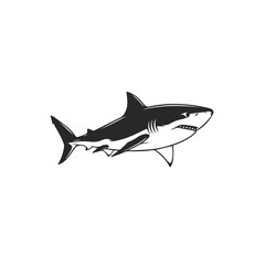 Fierce Great White Shark Illustration 1.