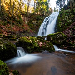 Forest waterfall long exposure