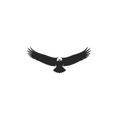 Fototapeta premium Majestic Eagle Silhouette in Flight.