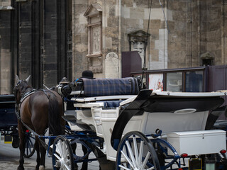 Classic Horse-Drawn Carriage Awaits in the City Center on a Cobblestone Street in Vienna
