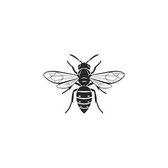 Obraz premium Stylized Black Silhouette of a Wasp Insect