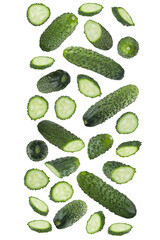 Fresh green bumpy cucumber whole, slices, fly or fall as wide art  stripe with white border, isolated. Summer healthy food vegetables for detox menu, fitness diet, vitamin meal, advertising, design.