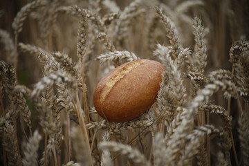 Freshly baked bread nestled among golden wheat stalks in a field.