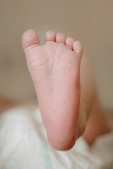 newborn baby photography close-up foot head and ear