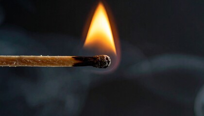 Close-up of a lit match with a bright flame and smoke against a dark background.
