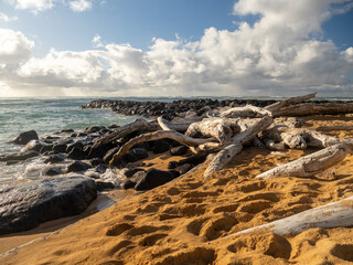 rocky coast of the sea