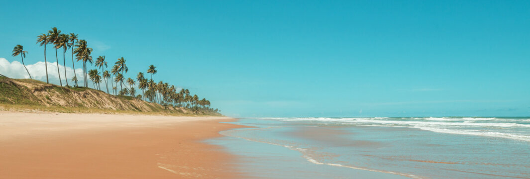 Fototapeta Brazil coast