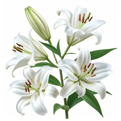 White lilies cluster, blooming and budding, with green leaves
