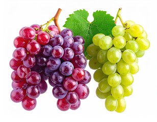 Fototapeta premium Two grape bunches, red and green, with a green leaf