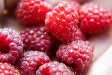 Raspberries, a red delicacy from the garden.
