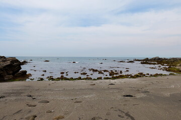 長井海の手公園 ソレイユの丘の海岸の岩場
