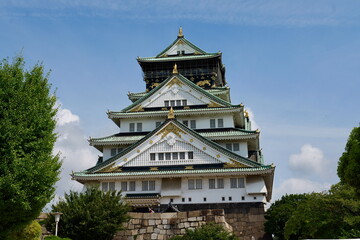 Fototapeta premium 大阪城公園から見た天守閣 
