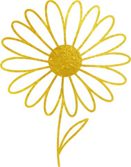 Elegant golden line art drawing of a daisy flower with stem and leaf on a black background, minimalist floral design for decoration and graphic projects