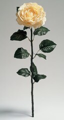 Full, light-yellow rose bloom atop a dark stem, green leaves