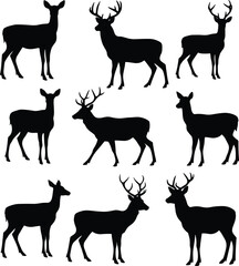 Silhouettes of deer and stags in various standing and walking poses, forest wildlife design, majestic antlers, wild animal concept, isolated vector illustration collection