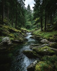 Obraz premium Forest River Landscape with Moss Rocks, Serene Forest River Landscape in Green Woods, Peaceful Forest River Landscape Nature Scene