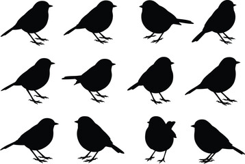 Set of small bird silhouettes in various standing positions, perched on ground, side view, nature concept, isolated vector illustration for wildlife, songbird design collection