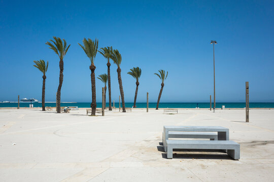 Sunny waterfront promenade in Tangier with palm trees, ocean view, and concrete bench, Morocco