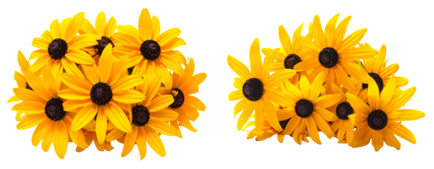 Set of Vibrant Black-Eyed Susan Flower Bouquet