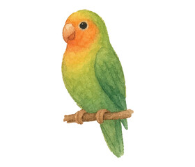 Adobe Illustrator Artwork