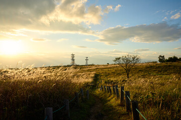 Obraz premium 高ボッチ高原の夕景