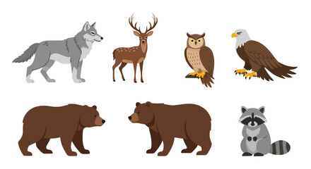 Obraz premium Collection of North American Wildlife Animals Wolf Deer Owl Eagle Bears Raccoon Illustration Set