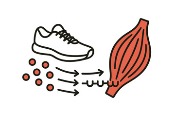 Energy flow from nutrients to muscle tissue during physical activity with a running shoe