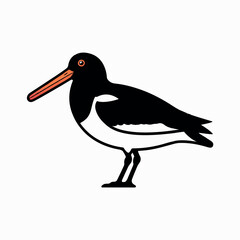 A beautiful  varieties  seabirds silhouette.