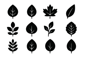 Collection of diverse leaf silhouettes with vein details for nature and organic designs