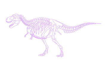 Line Art Illustration of Tyrannosaurus Rex Skeleton
