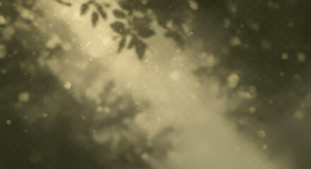 Obraz premium Sunlight filtering through trees, creating a dreamy and serene atmosphere