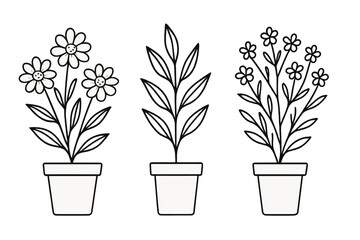 Assortment of decorative potted flowers and foliage in a minimalist outline style