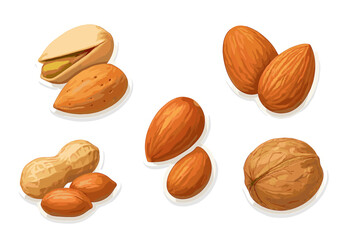 Assortment of healthy nuts including almonds, peanuts, pistachios, and walnuts