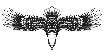 An eagle with its wings spread in flight overhead.