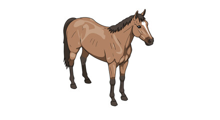 Obraz premium Realistic standing horse on white background