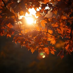 Warm Autumn Nature Background