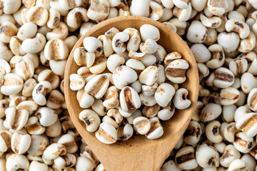 White and Brown Grains in Wooden Spoon on Background of Grains