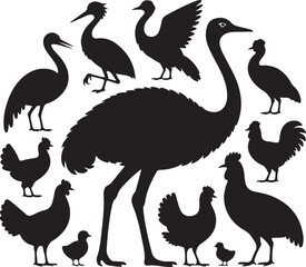Diverse Bird Silhouettes Collection Featuring Ostrich Chickens and Cranes vector illustration