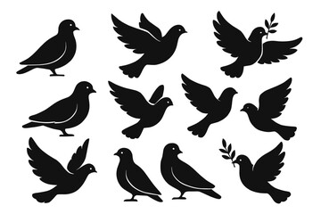 Fototapeta premium Silhouette collection of doves and pigeons in various poses with olive branch