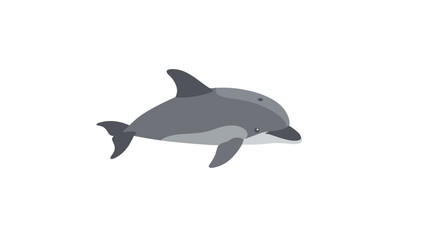 Fototapeta premium Cute gray dolphin in minimalist style on white background