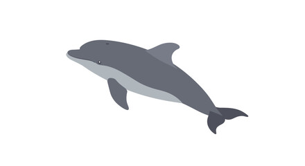 Fototapeta premium Flat style dolphin on white background: marine life design
