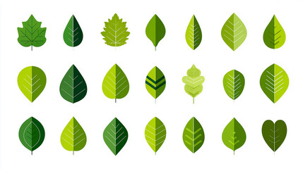 Minimalist eco-friendly leaf icon set, clean vector style, showcasing various leaf shapes, modern flat design, sustainability and nature theme