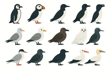 Naklejka premium Collection of various stylized seabirds on a white background