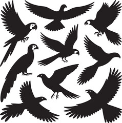 Collection of Black Silhouettes of Various Birds in Flight and Perched flying