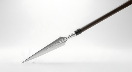 Spear with Wooden Shaft and Metal Blade