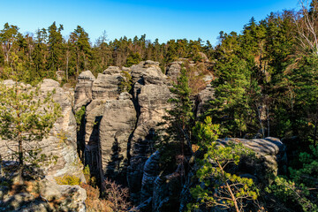 Majestic sandstone rock formations in dense pine forest under clear blue sky