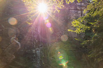 Obraz premium Sunlight filtering through forest trees on rocky cliff