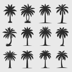 Vector collection of silhouette palm trees diverse styles for tropical design elements scalable graphics silhouette